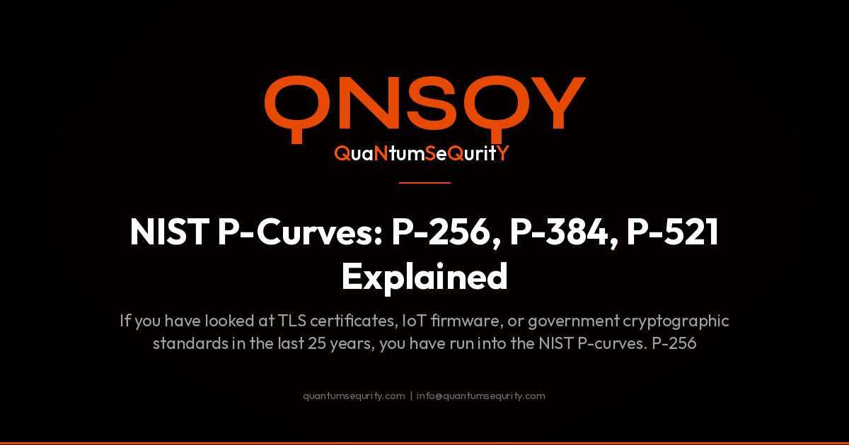 NIST P-Curves: P-256, P-384, P-521 Explained - QNSQY post-quantum encryption guide