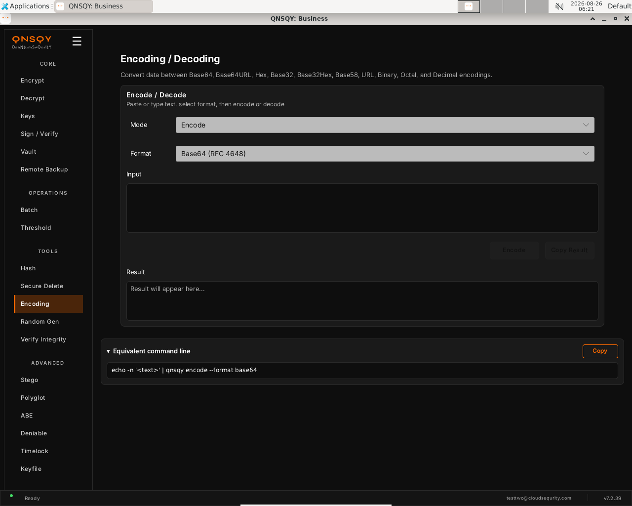 QNSQY Encoding / Decoding screen: a Mode dropdown set to Encode, a Format dropdown set to 'Base64 (RFC 4648)', a large Input text box, Encode and Copy Result buttons, and a Result box reading 'Result will appear here...'.