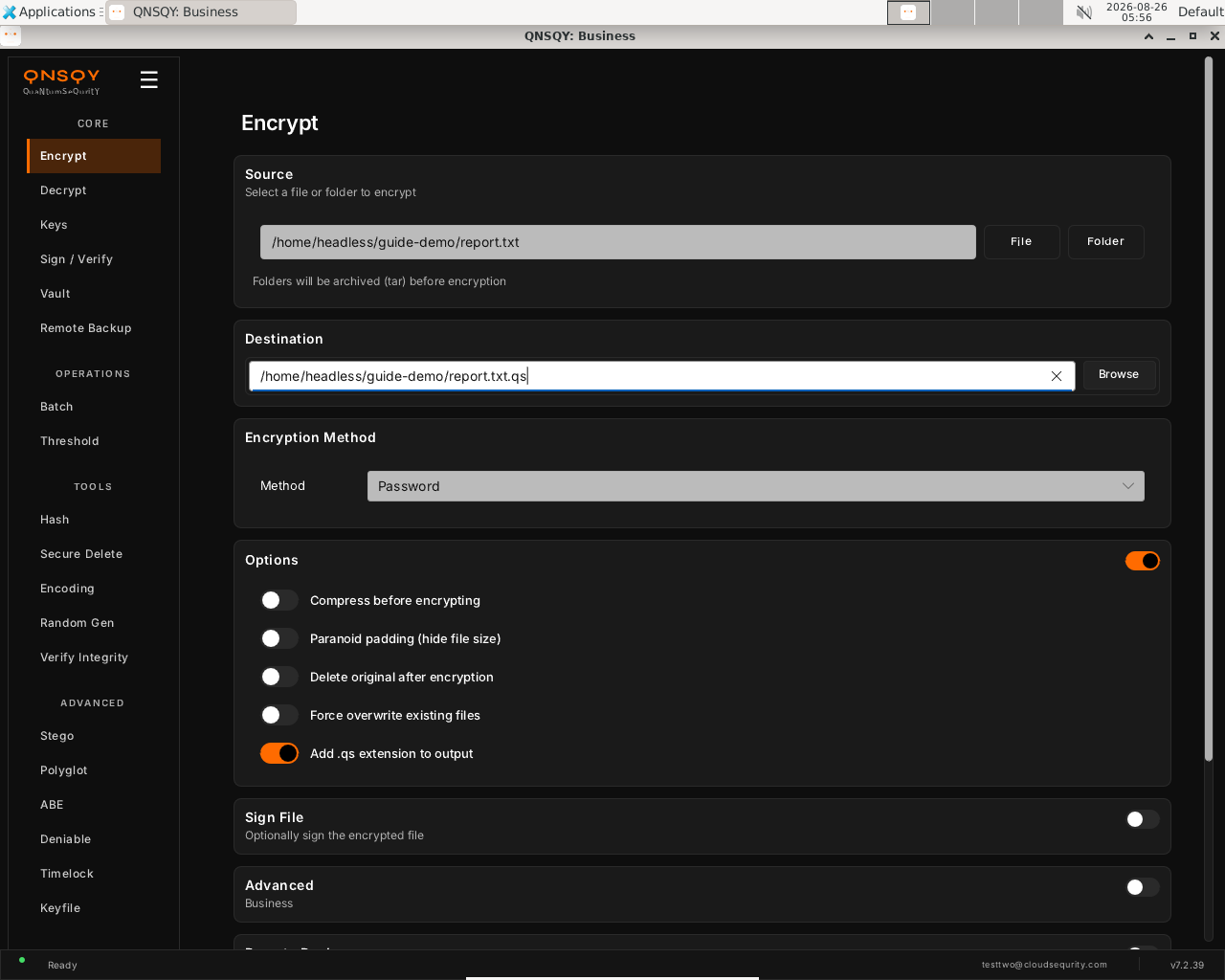 Options section expanded showing Compress before encrypting, Paranoid padding, Delete original after encryption, Force overwrite, and Add .qs extension toggles