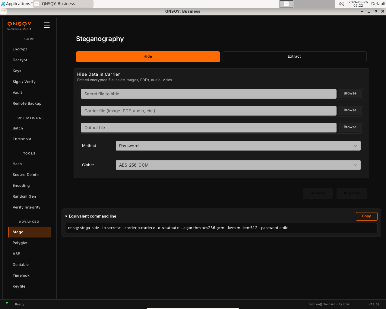 QNSQY Steganography screen on the Hide tab: a 'Hide Data in Carrier' panel with Secret file, Carrier file, and Output file pickers, a Method dropdown set to Password and a Cipher dropdown set to AES-256-GCM, Capacity and Hide Data buttons, and an Equivalent command line showing qnsqy stego hide.